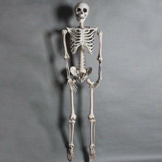 170cm